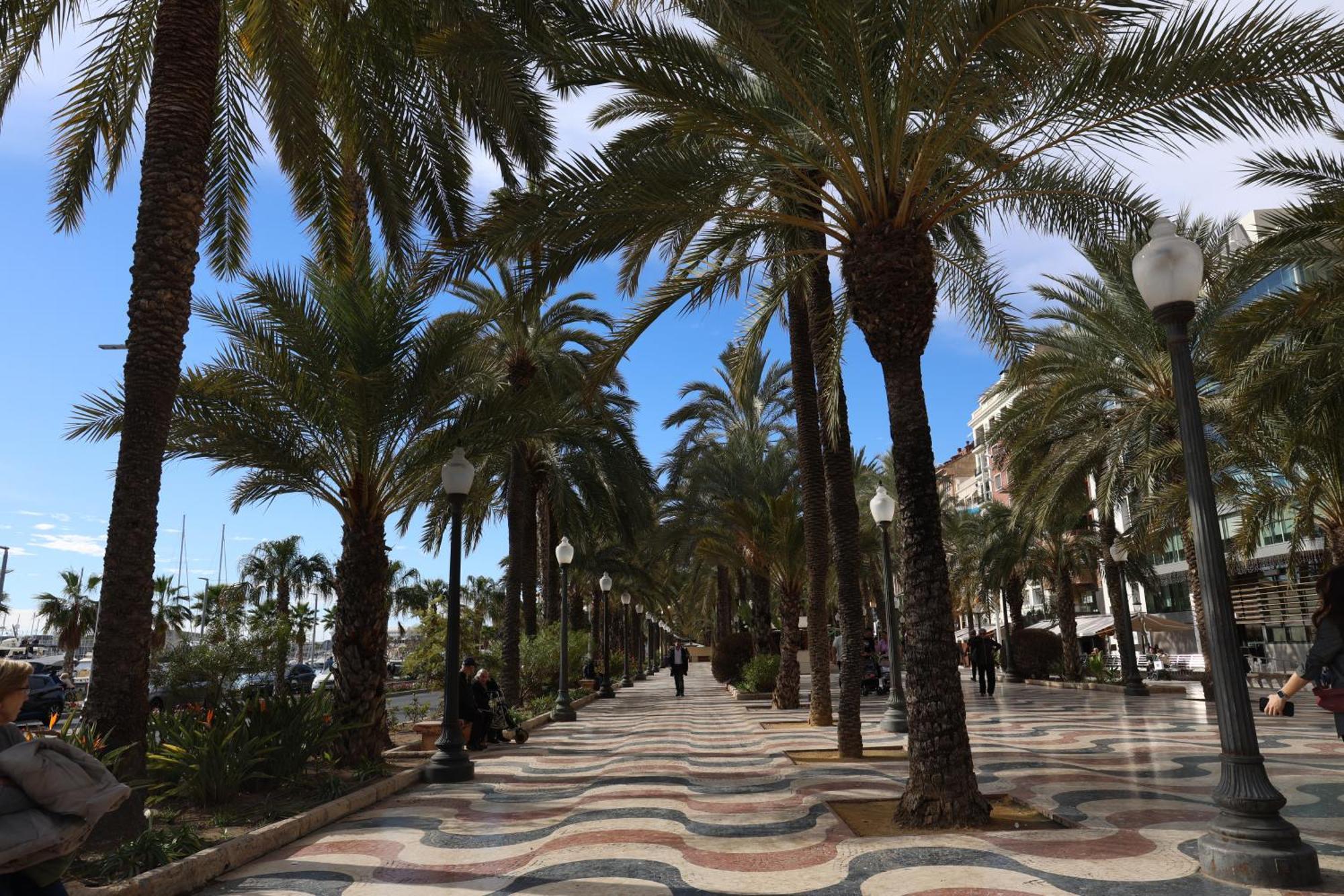 Alicantan Vital Experience Alicante Exterior foto